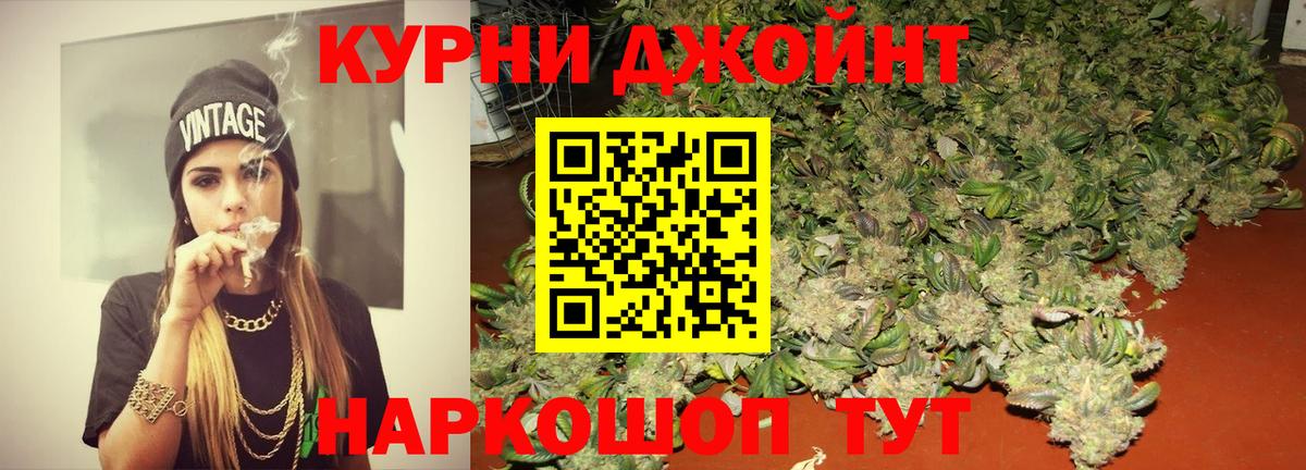 Шадринск  Каннабис план  Бошки Шишки гибрид  Марихуана SATIVA & INDICA  Вход с VPN 